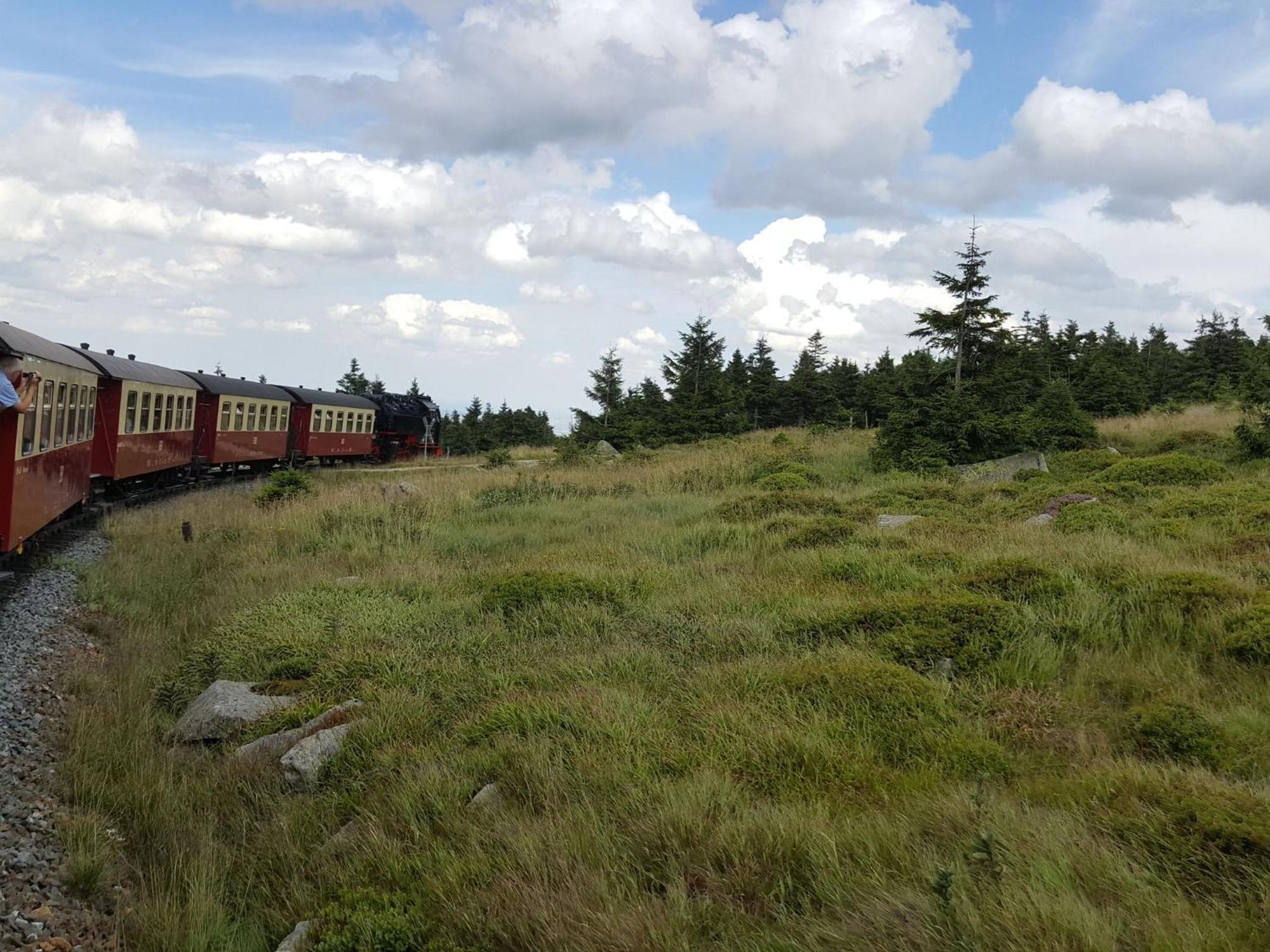 Holiday Home In Wieda With Sauna Eksteriør bilde